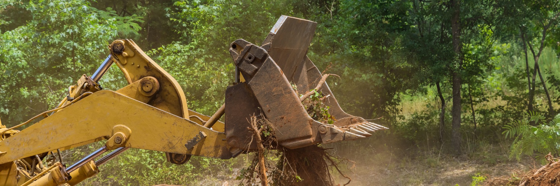 Land Clearing Services in Gainesboro, TN