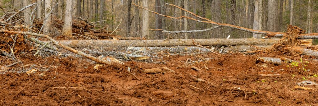 Land Clearing Services in Gainesboro, TN