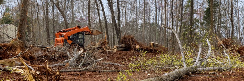 Land Clearing Services in Gainesboro, TN