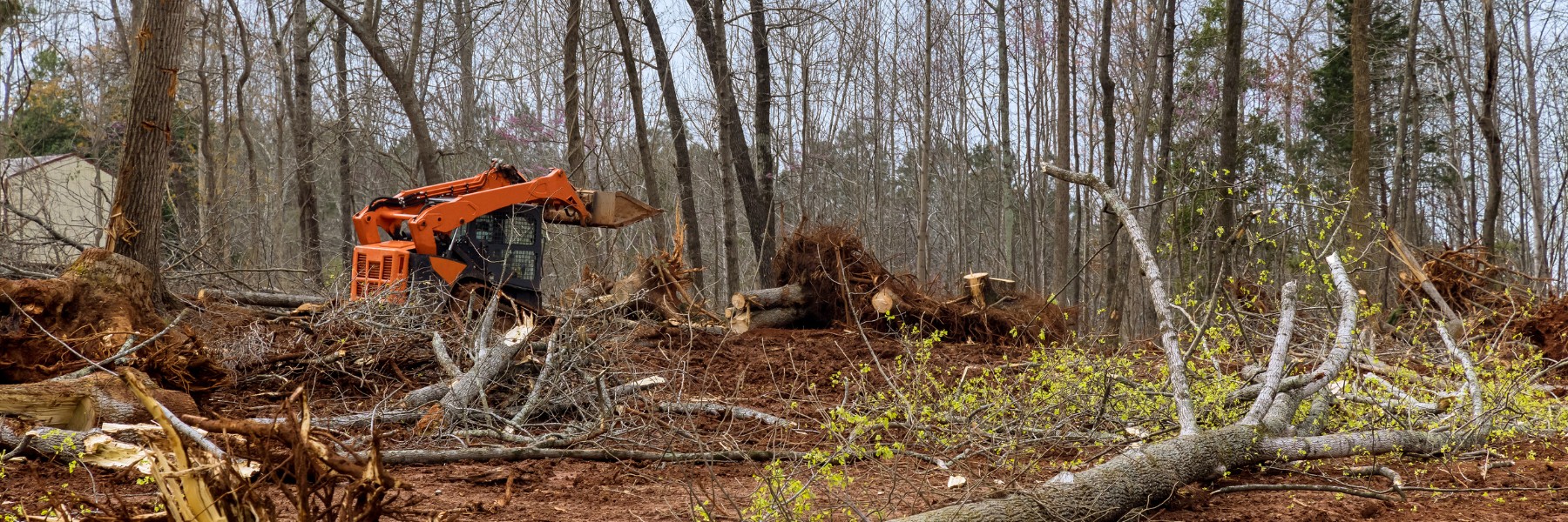 Land Clearing Services in Gainesboro, TN