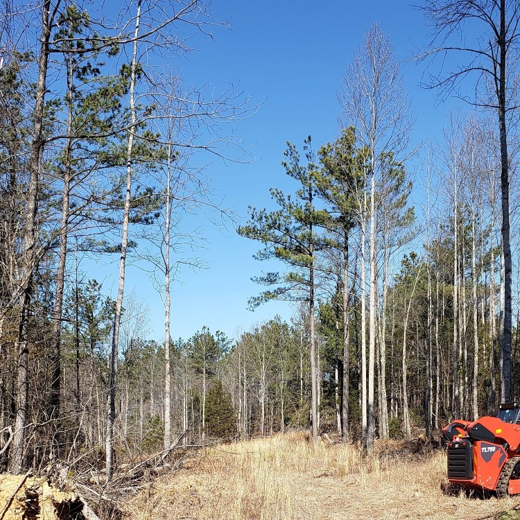 Land Clearing Services in Gainesboro, TN