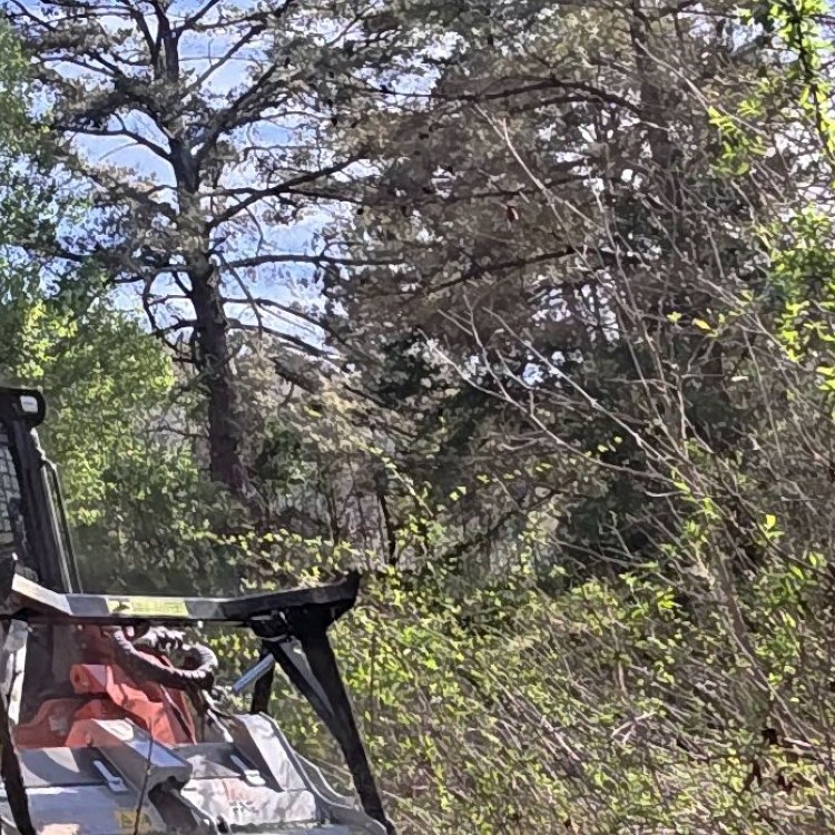 Land Clearing Services in Gainesboro, TN